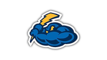 Thunderzings